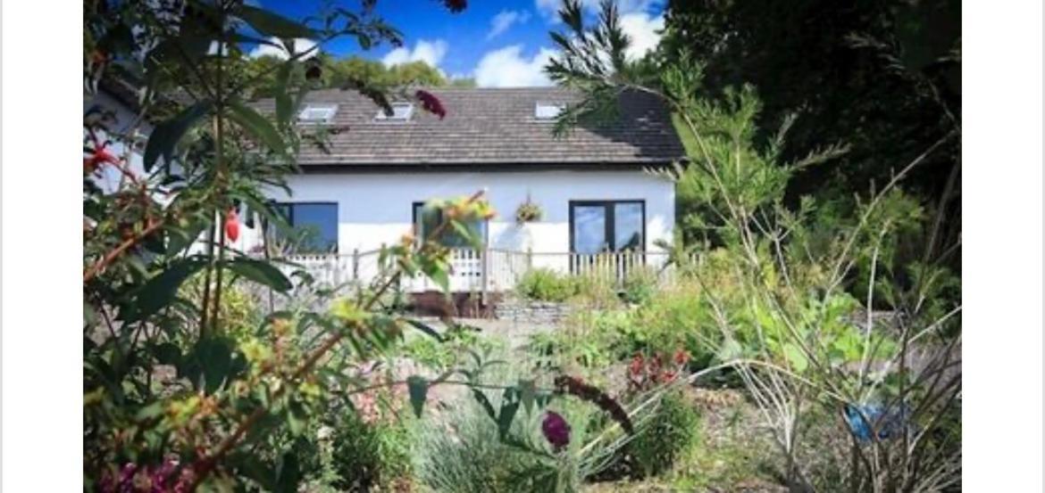 The Blue Cat Hotel Kenmare Exterior foto